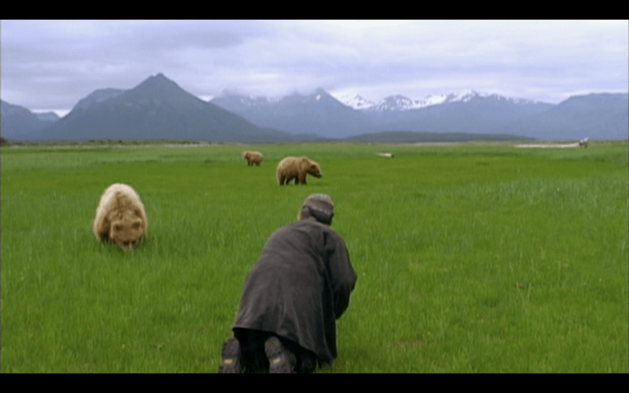 grizzly man treadwell