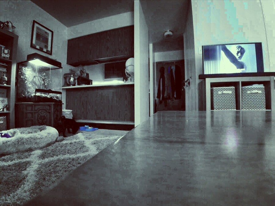 YDXJ0767_pic_edit_20180809095053